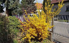 Garden Apartment Donau-City